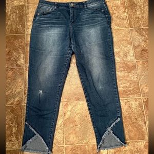 Democracy Fringe Hem Absolution Jeans